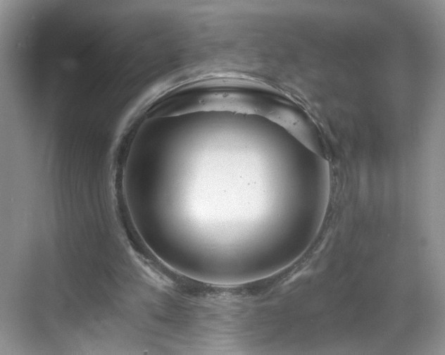 X0000068810197200605081128