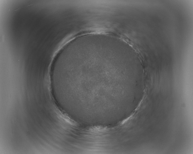 X0000068810198200605081128