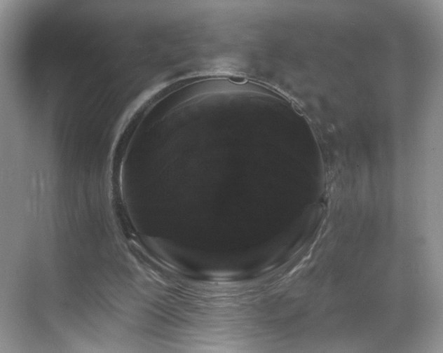 X0000068810200200605081128