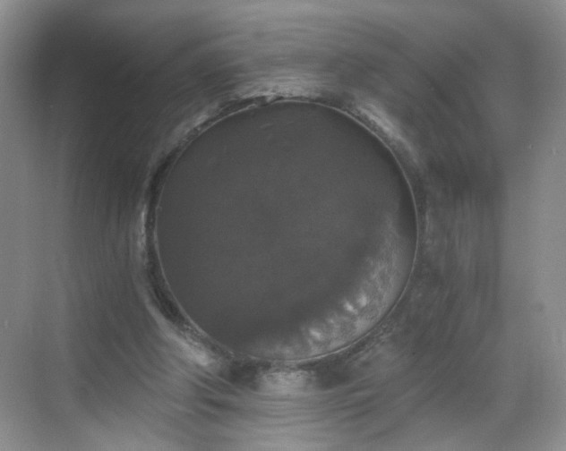 X0000068810202200605081128