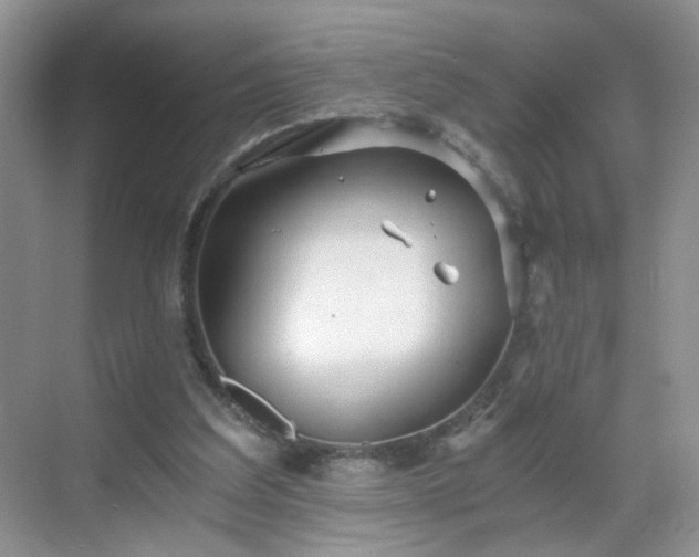 X0000068810203200605081128