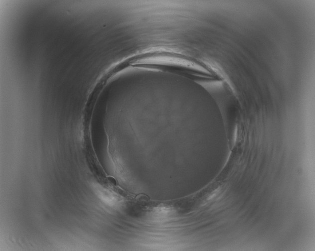 X0000068810204200605081128