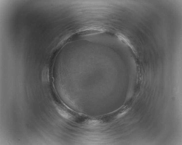 X0000068810205200605081128