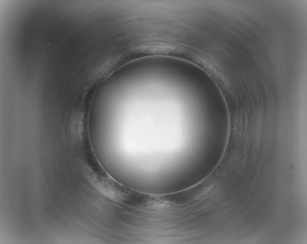 X0000068810206200605081128