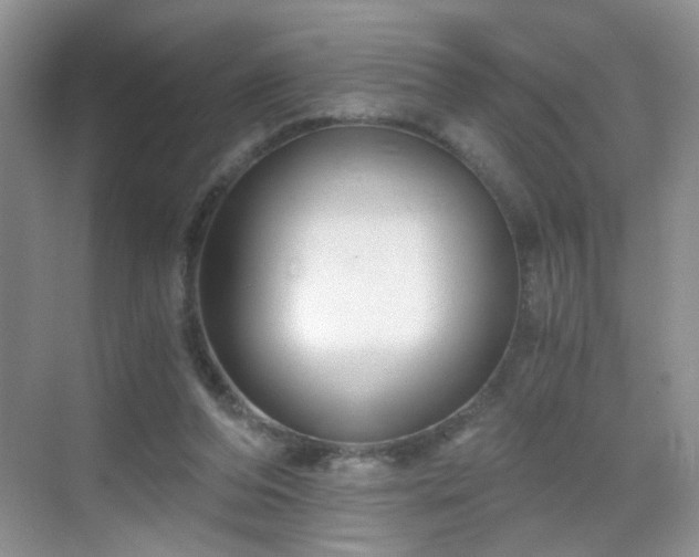 X0000068810208200605081128