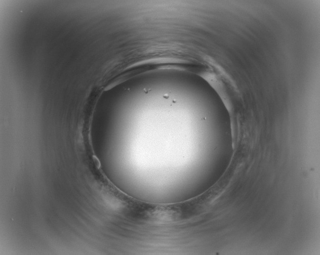 X0000068810209200605081128