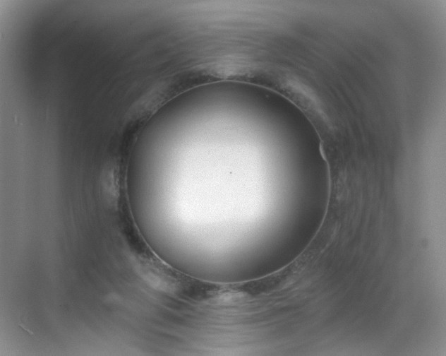 X0000068810210200605081128