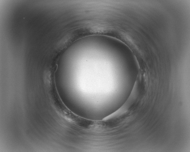 X0000068810211200605081128