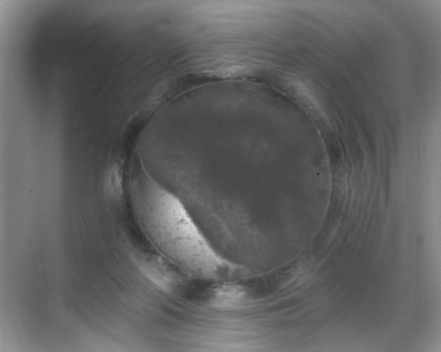 X0000068810214200605081128