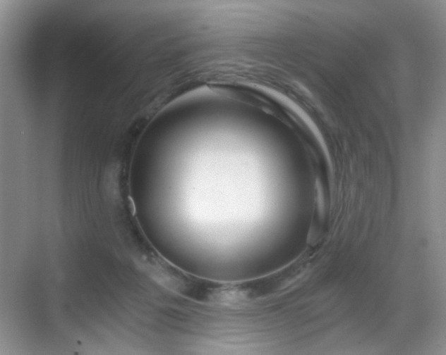 X0000068810217200605081128