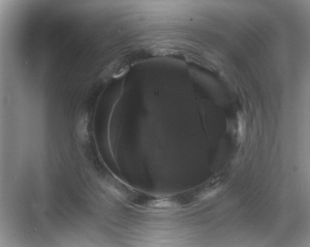 X0000068810219200605081128