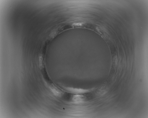 X0000068810222200605081128