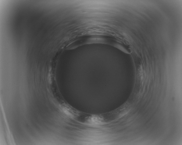 X0000068810223200605081128