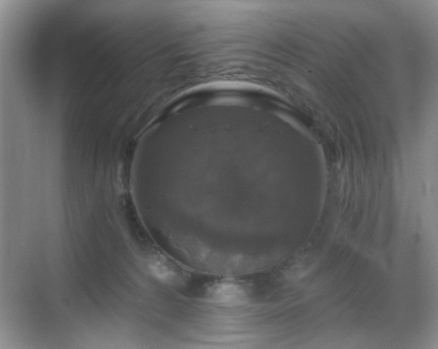 X0000068810224200605081128