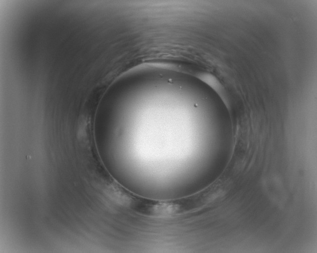 X0000068810225200605081128