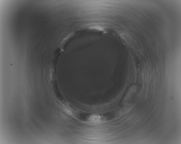 X0000068810227200605081128