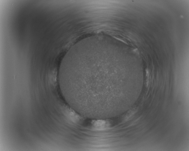 X0000068810230200605081128