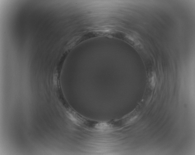 X0000068810231200605081127