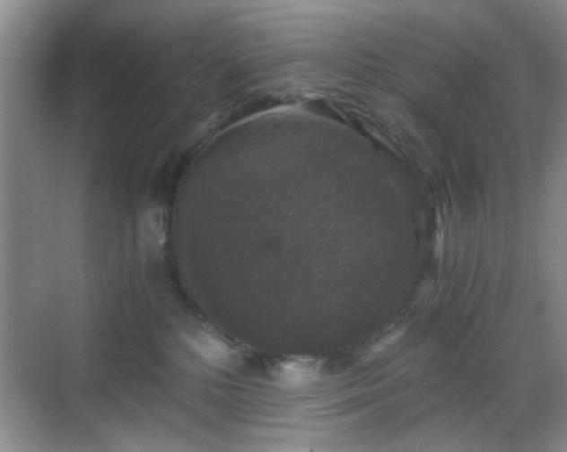 X0000068810232200605081127