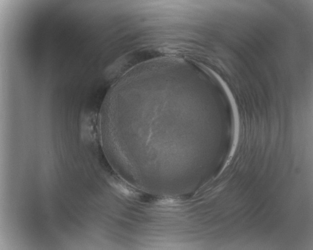 X0000068810237200605081127