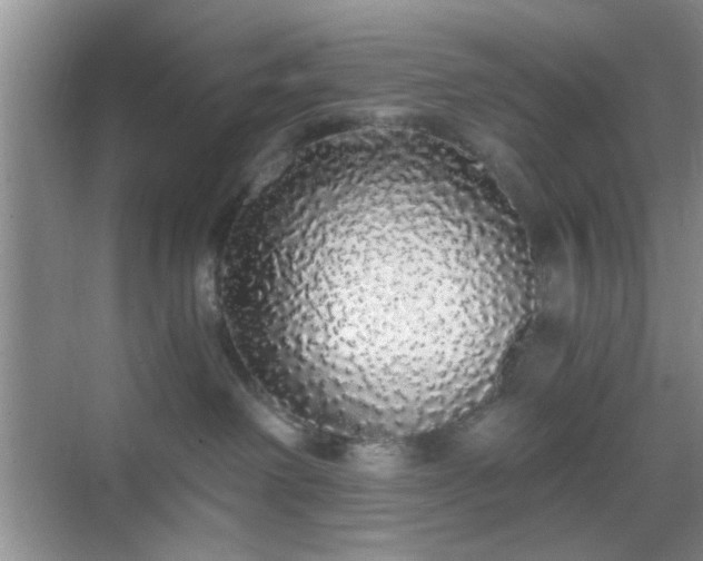 X0000068810238200605081127