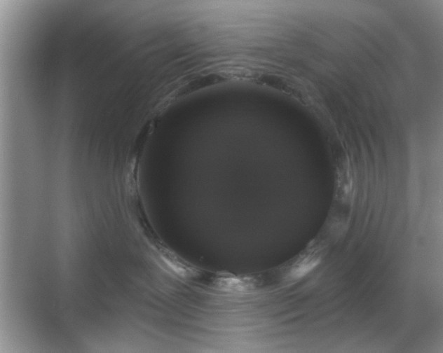 X0000068810239200605081127