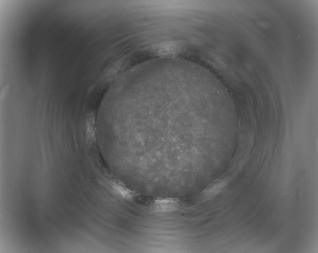 X0000068810240200605081127