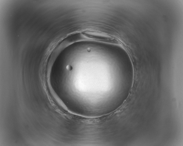 X0000068810241200605081127