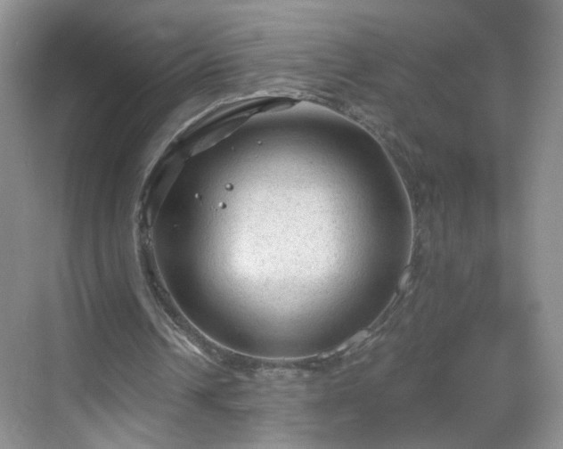 X0000068810242200605081127