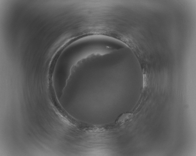 X0000068810243200605081127