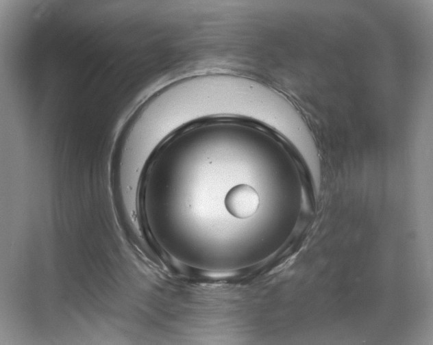 X0000068810244200605081127