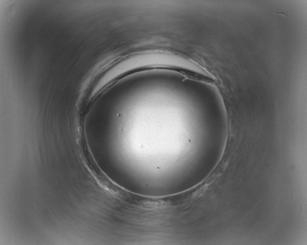 X0000068810245200605081127