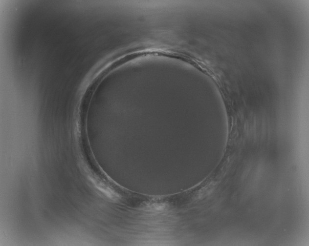 X0000068810247200605081127