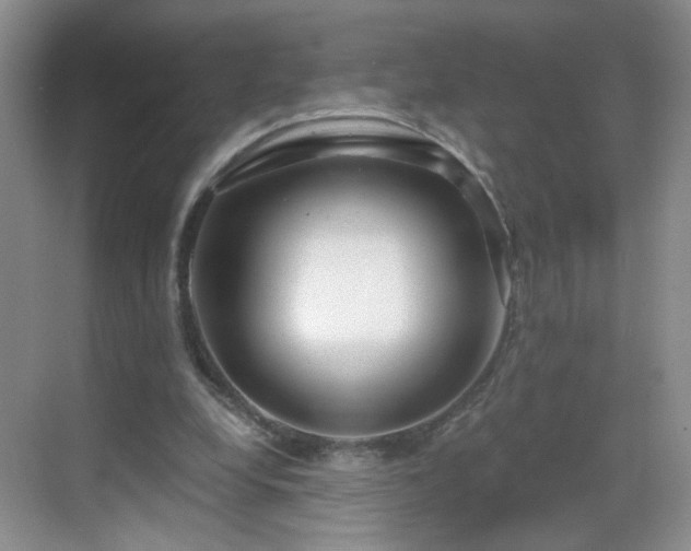 X0000068810248200605081127