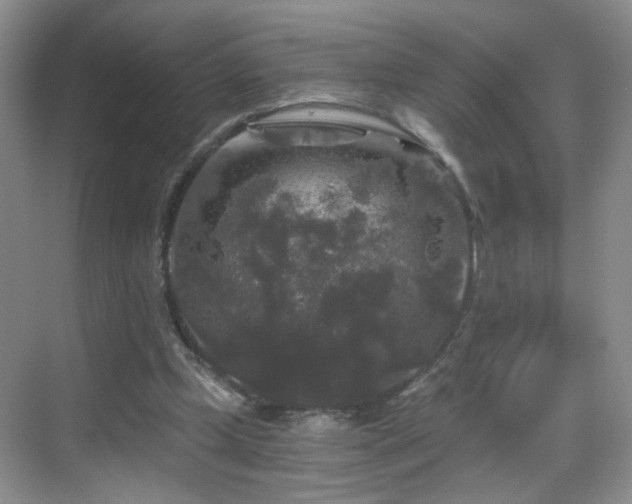 X0000068810249200605081127