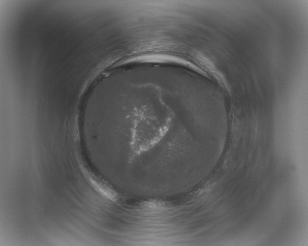 X0000068810250200605081127