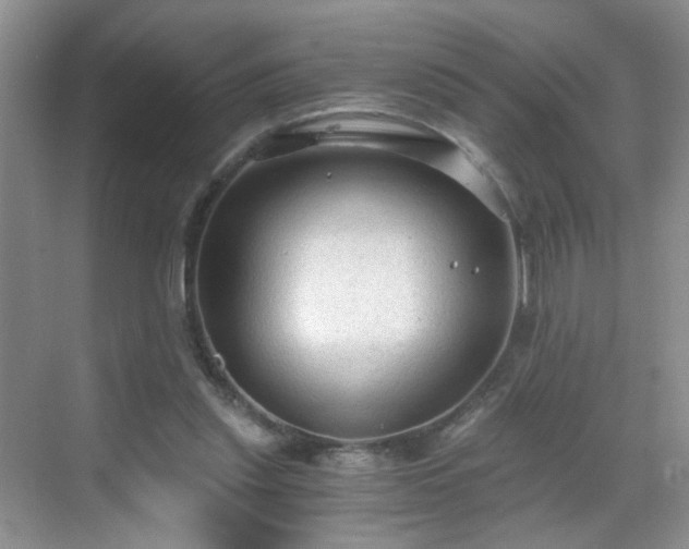 X0000068810253200605081127