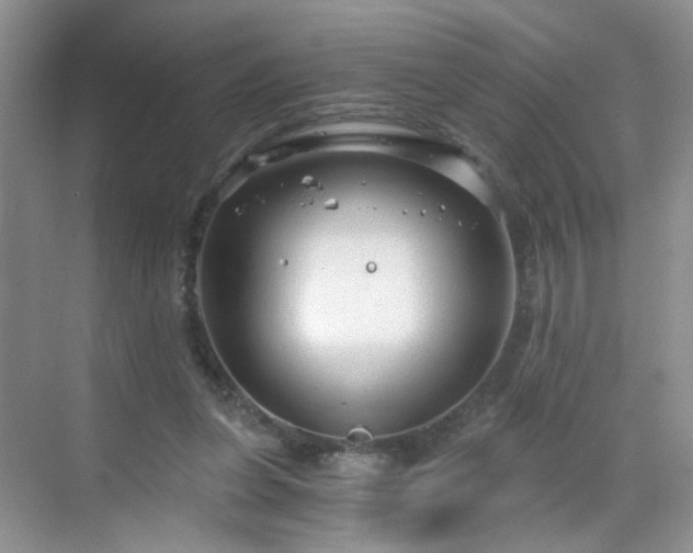 X0000068810255200605081127