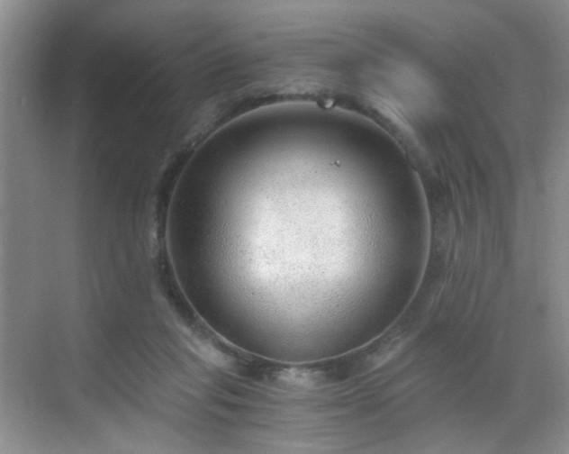 X0000068810261200605081127