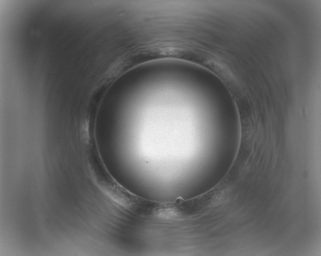 X0000068810262200605081127