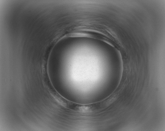 X0000068810265200605081127