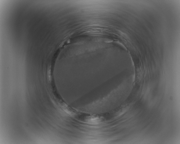 X0000068810267200605081127