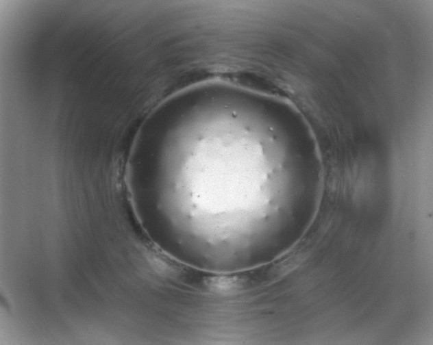 X0000068810273200605081127