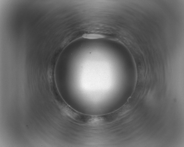 X0000068810274200605081127