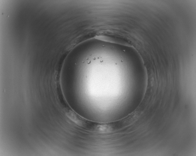 X0000068810275200605081127