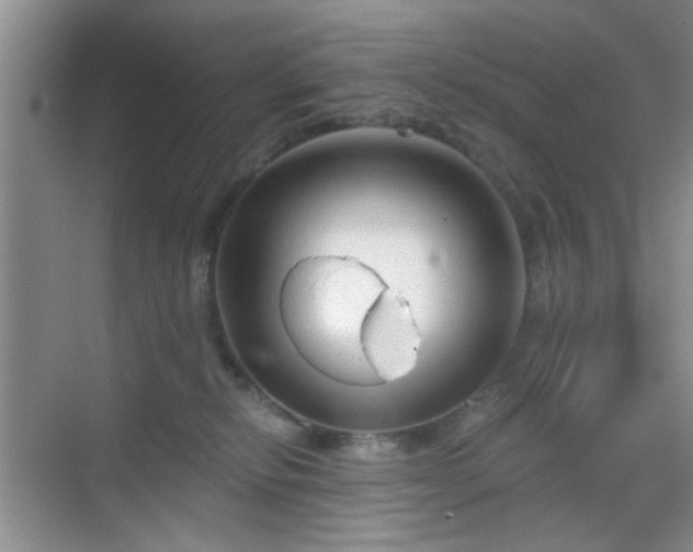 X0000068810278200605081127