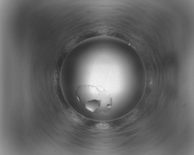 X0000068810279200605081127