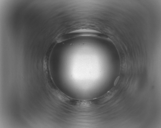 X0000068810282200605081127