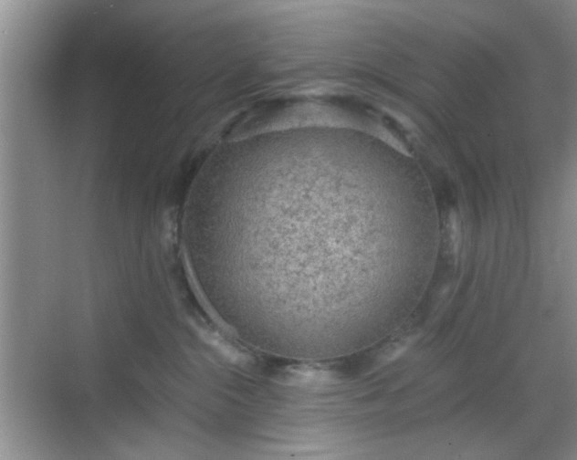 X0000068810284200605081127