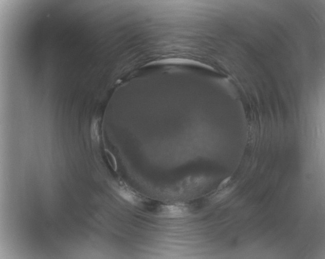 X0000068810286200605081127